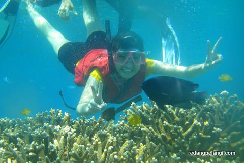 Redang Pelangi Snorkeling